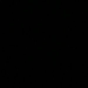 Meet your Posher, Sammy